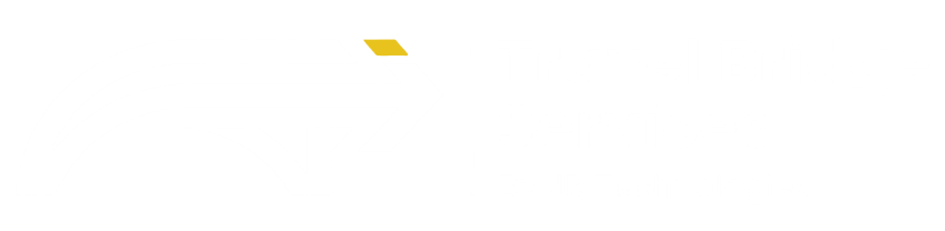 Travel Bridge Services Logo